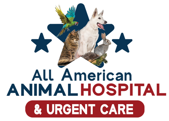 All American Animal Hospital and Urgent Care